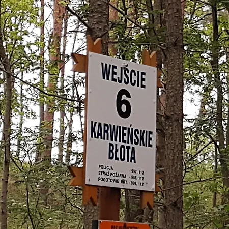 Fala * Karwienskie Bloto Drugie