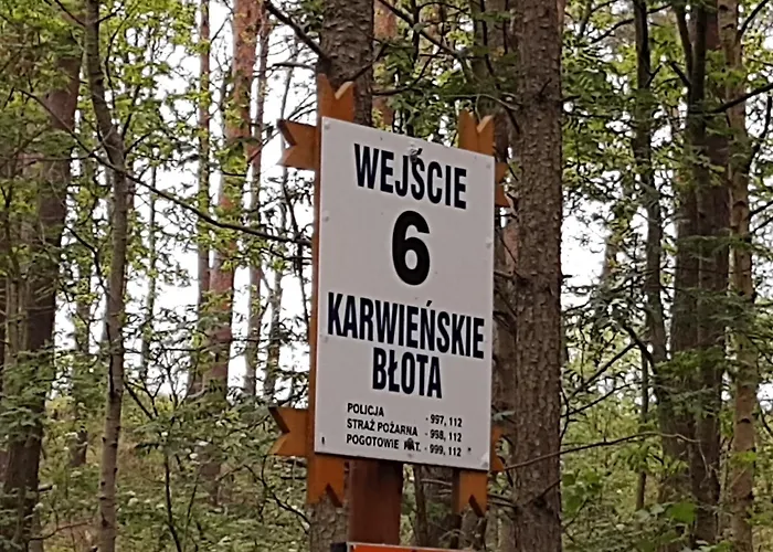 Fala * Karwienskie Bloto Drugie